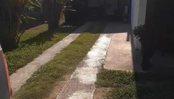 Provi Gimper - 15600 Empalme Olmos Provi Gimper - 15600 Empalme Olmos