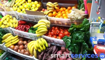 Provisión Las Negris - Departamento De Montevideo