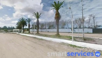 Proyecto Rosa - Rocha