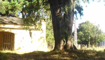 Puerto de Nueva Palmira - Uruguay