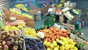 Puesto de frutas y verduras - 15900 Las Piedras