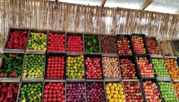 Puesto de verduras - Ciudad De La Costa