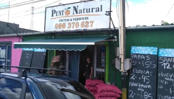 Punto Natural - 91500 Sauce