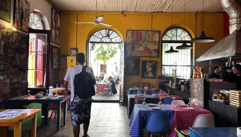 ¡Qué Tupé! - 70000 Col. Del Sacramento ¡Qué Tupé! - 70000 Col. Del Sacramento