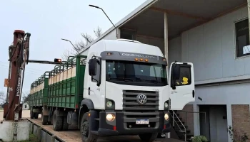 Radenor s.a - 75500 Palmitas Radenor s.a - 75500 Palmitas