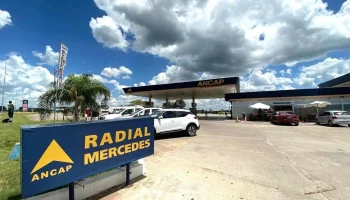 Radial Mercedes - Mercedes