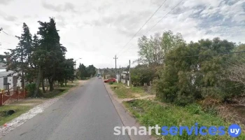 Roti Elykafer - 15700 Toledo