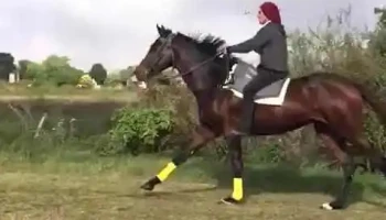 Rotiseria Los Propios - 65000 Fray Bentos Rotiseria Los Propios - 65000 Fray Bentos