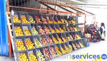 San Francisco Frutas y Verduras - Concepción Del Uruguay