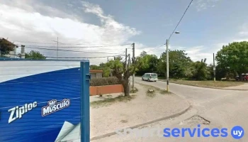 supermercado girasol - Sol