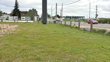 Tamisur oficinas y Centro Logístico - Las Piedras