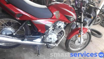 Teddy Motos - - Centro
