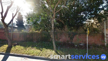 The Green Nature - Departamento De Montevideo
