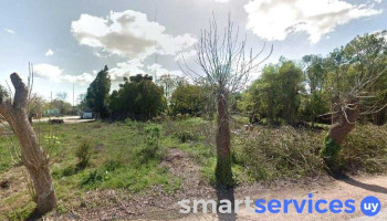 Tienda lourdes - Montevideo Tienda lourdes - Montevideo