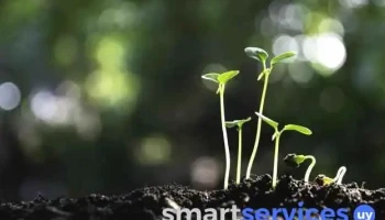 Tienda Verde - Ecológica Natural y Vegana - 15000 Ciudad De La Costa Tienda Verde - Ecológica Natural y Vegana - 15000 Ciudad De La Costa