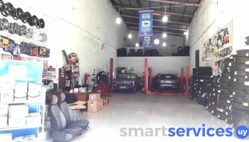 Tireshop 33 - Treinta Y Tres