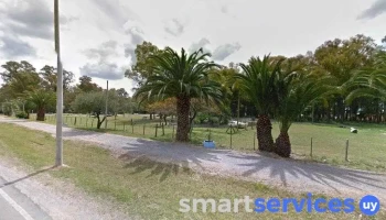 Tortas Fritas- La tradición del parque - 80300 Ecilda Paullier Tortas Fritas- La tradición del parque - 80300 Ecilda Paullier