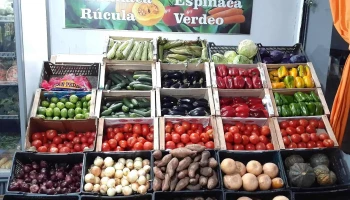 Verduleria lunita - Concepción Del Uruguay