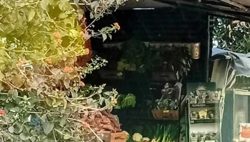 Verduleria y fruteria Los hermanos - 15800 Ciudad De La Costa