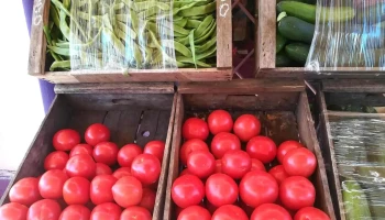 Verdulería y Fruteria «La Roseta» - 75000 Mercedes