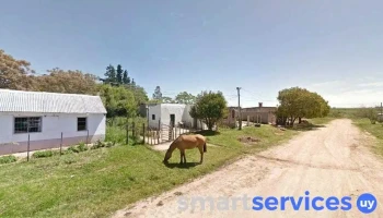 Viejo bill - 97100 Sarandí Del Yí