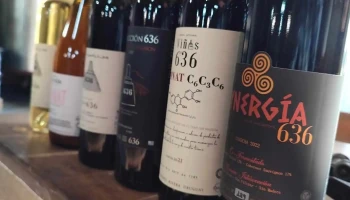 Viñas del 636 - 40000 Rivera