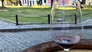 Vinos Del Mundo - Colonia - Colonia Del Sacramento