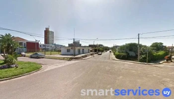 Viviana Fernandez Seguros - La Paloma