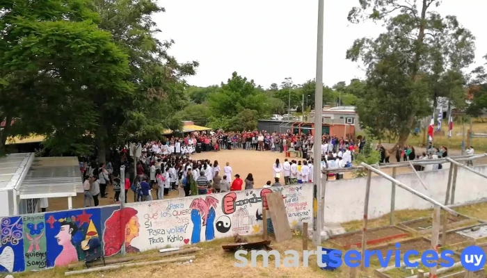 190 Escuela La Floresta -  Videos - La Floresta