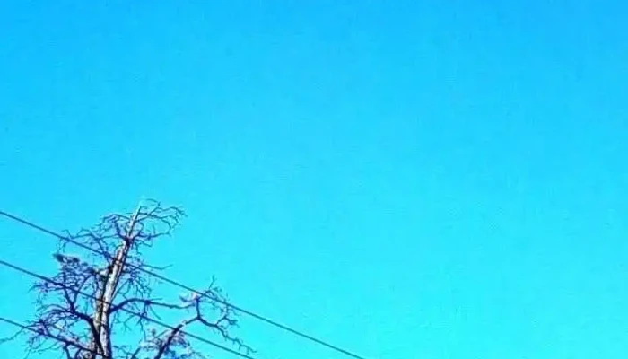 Abitab -  Videos - Montevideo