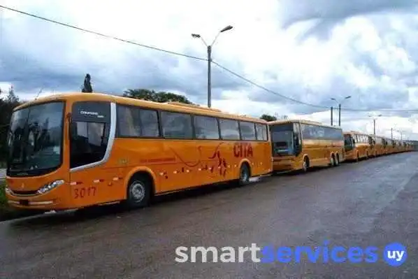 Agencia Cita -  Barcelona Bus Turistic - Progreso