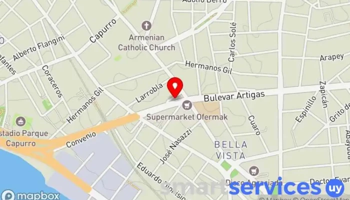 mapa de Agencia CITA Servicio de transporte en Montevideo