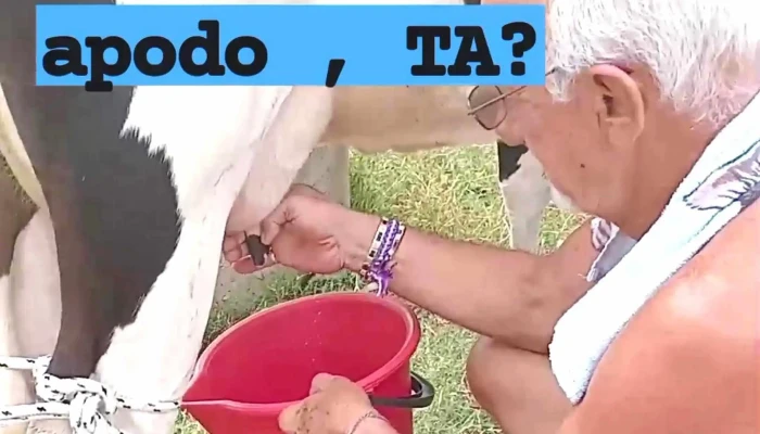 Agencia Nunez Sitio Web - Treinta y Tres