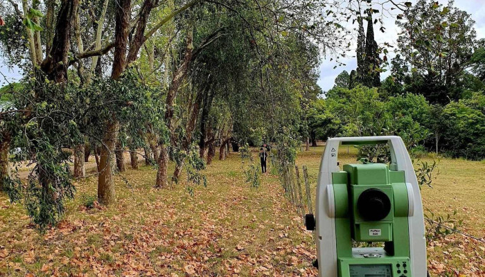 Agrimensura Silveira - Gral. Artigas Esquina