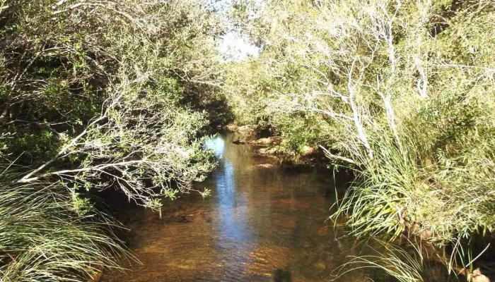 Aigua Aigua - Aiguá
