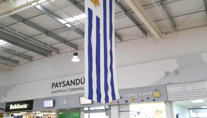 Alfa Neumaticos Interior - Paysandú