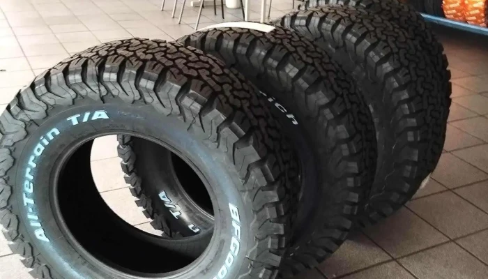 Alianza Neumaticos Michelin Tienda De Neumaticos - Rivera