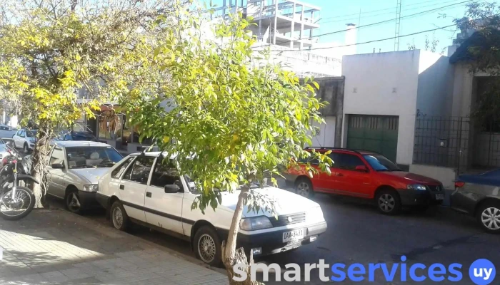 Alvarez Neumaticos Neumatico - Paysandú