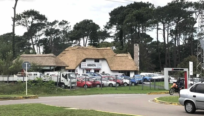 Amaya Motors -  Telefono - Punta del Este