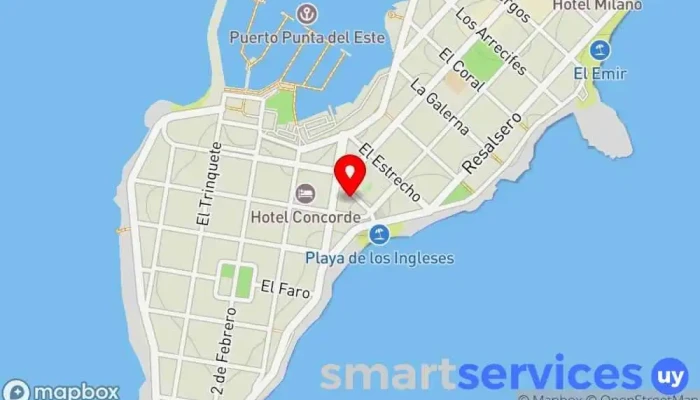 mapa de Amazona, 099787077 inmobiliaria, sin local a la calle Agencia inmobiliaria, Agentes inmobiliarios en Punta del Este