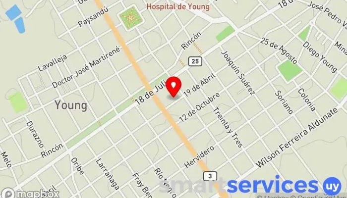 mapa de ANDA Sucursal Young Asociación u organización en Young