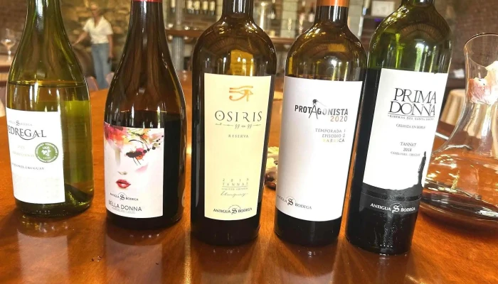 Antigua Bodega - 15900 La Paz