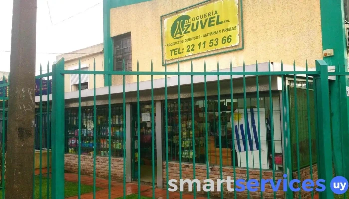 Azuvel Srl - Montevideo