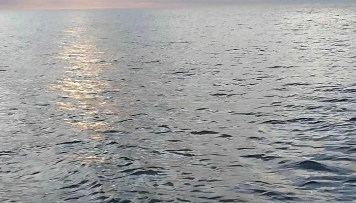 Barcos Del Este -  Videos - Piriápolis