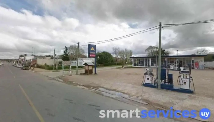 Barrera Bienes Raices - Soca