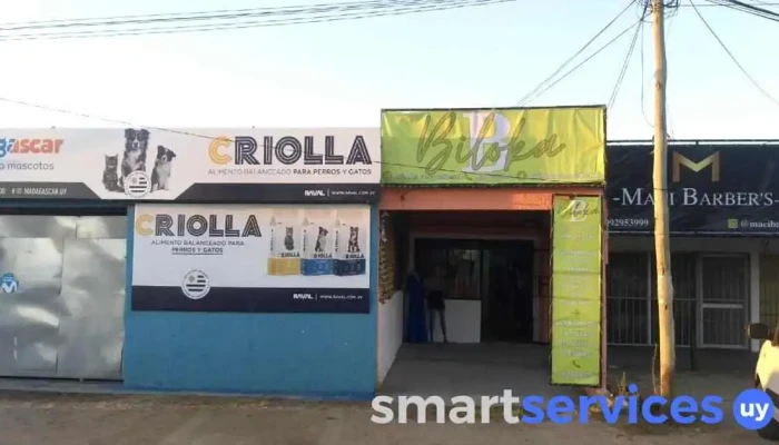 BiLoka - Colón Y
