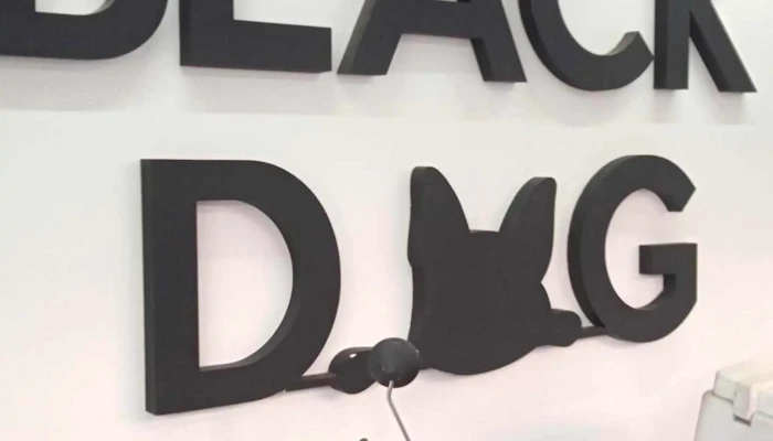 Black Dog Electronics -  Instagram - Montevideo