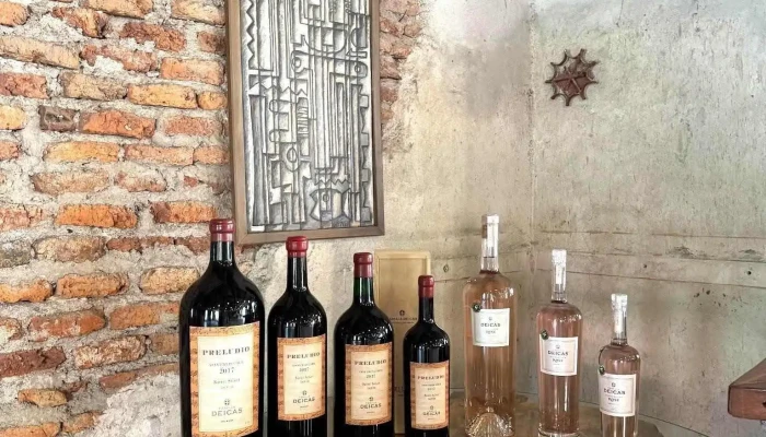 Bodega Familia Deicas -  Vino - Juanicó