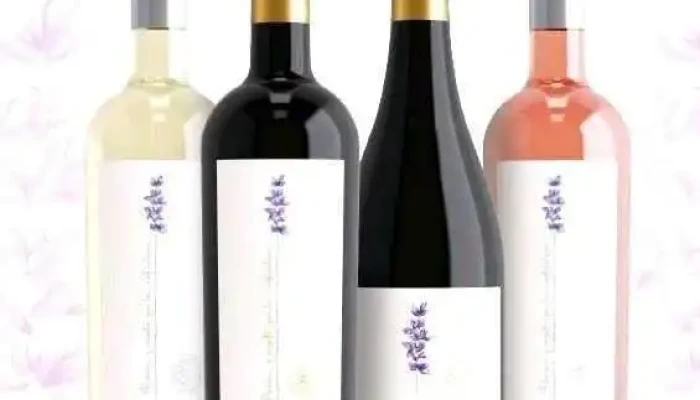Bodega Finca Las Violetas - Camino R. Soca