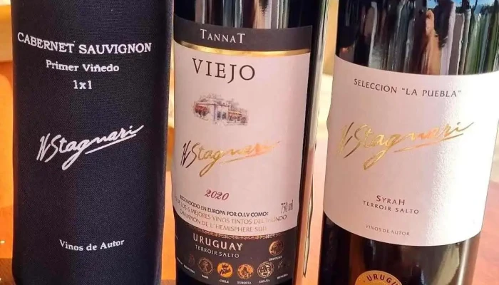 Bodega H. Stagnari - Ruta 5